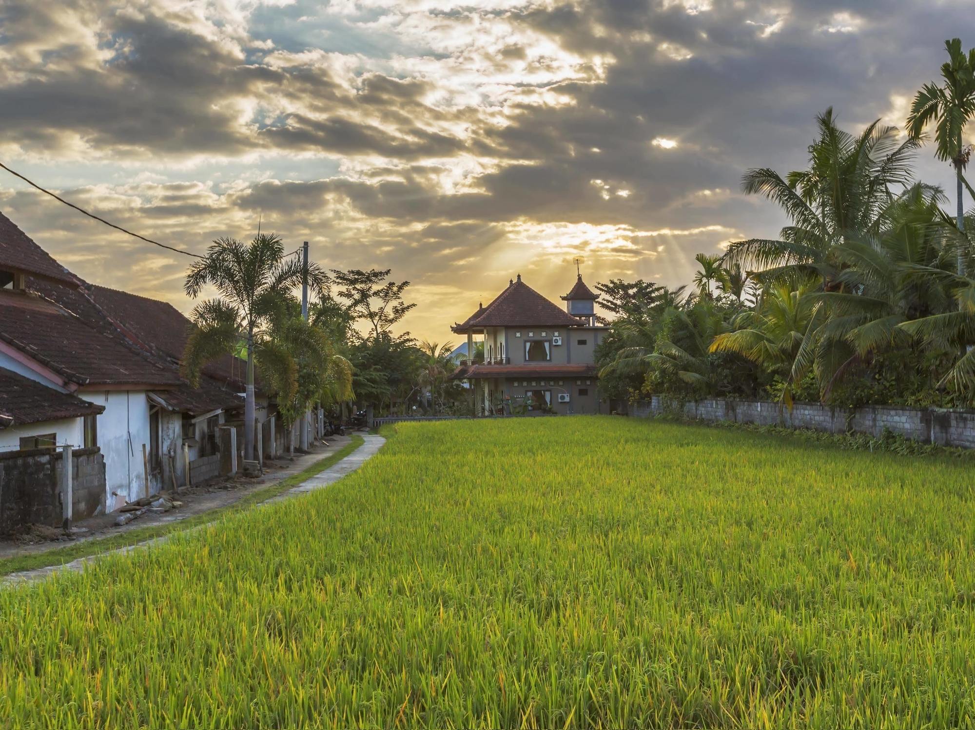 Abipraya Ubud المظهر الخارجي الصورة